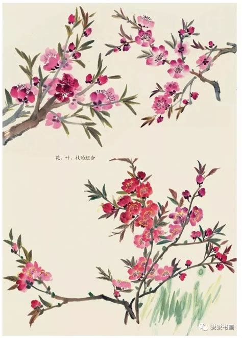 桃花画法|国画桃花画法（内含视频教程哦）